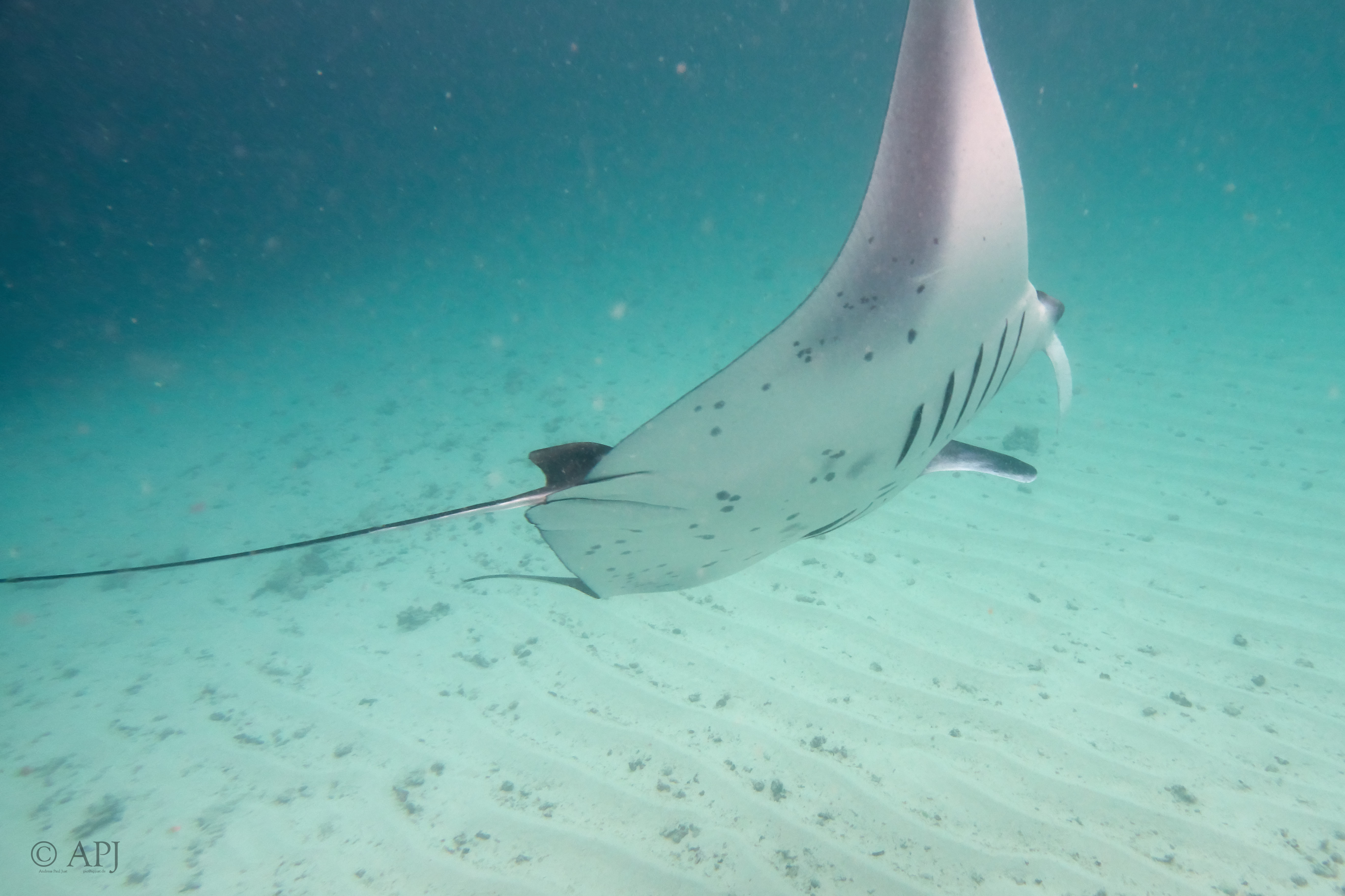 002831 17 08 17  Canon PowerShot G7 X Mark II   Malediven2017